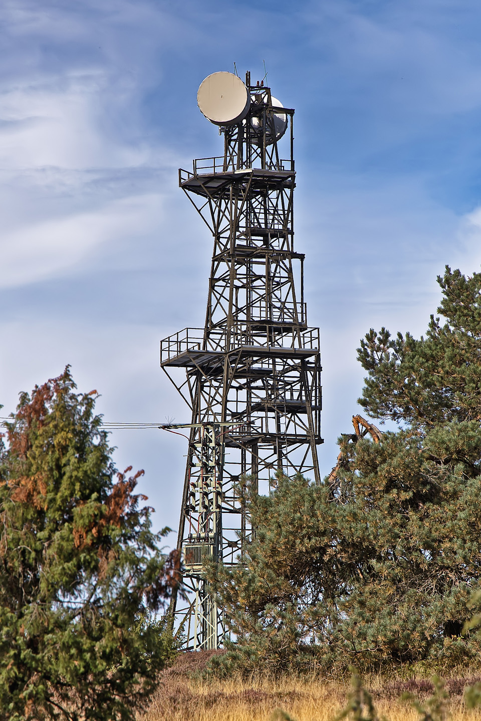 Traumpfad Bergheidenweg (Funkturm Raßberg)